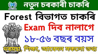 Forest বিভাগত নতুন চাকৰি😍 No Exam Direct Selection🔥 ফৰেষ্ট বিভাগৰ Various Post Apply Now [upl. by Harriman743]