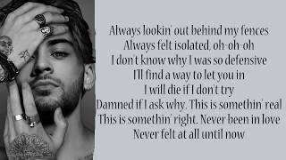 ZAYN  Common  Lyrics Songs [upl. by Abercromby]