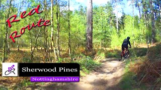 Riding The Kitchener Trail Sherwood Pines Red Route 2015 [upl. by Shannon17]