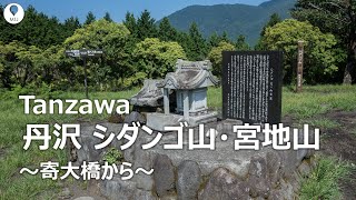 丹沢 シダンゴ山と宮地山 ８月【登山・ハイキング・日帰り】シダンゴ山・宮地山Tanzawa Mountains [upl. by Einaffets]