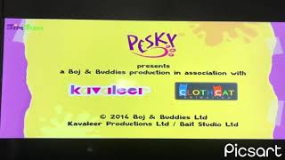 Pesky ProductionsKavaleer ProductionsCloth Cat Animation 2016 [upl. by Eeslek]