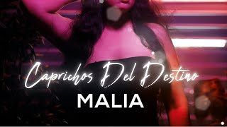 Malia  Caprichos Del Destino Cover [upl. by Calisa531]