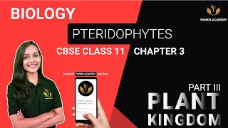 Pteridophytes Class 11 Biology Chapter 3  Plant Kingdom  Pankh Academy Part 3 [upl. by Etnomal]