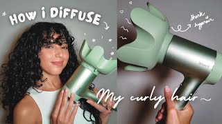 HOW I DIFFUSE MY CURLY HAIR  Step By Step Diffusing Tutorial  Curly Hair Guide  Hebarrietty [upl. by Analle]