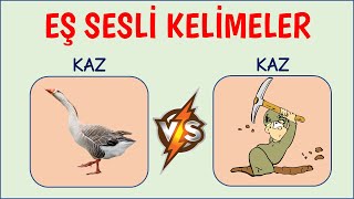 Eş sesli kelimeler  Sesteş Kelimeler [upl. by Pooh]