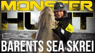 Monster Hunt  Barents Sea Skrei Cod [upl. by Nowujalo]