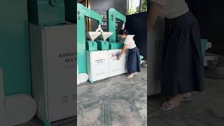 220V Single Phase Rice Milling Machine With 600Kg Hour Capacity Rubber Roller Type [upl. by Oirobil52]