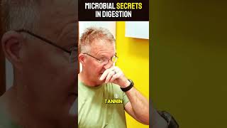 MICROBIAL SECRETS IN DIGESTION [upl. by Rafi]