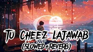 tu cheez lajawab slowampreverb  LOFI SONG [upl. by Nosneh]