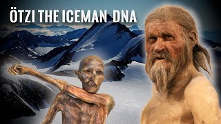 DNA Results of Ötzi the Iceman [upl. by Aneelas]