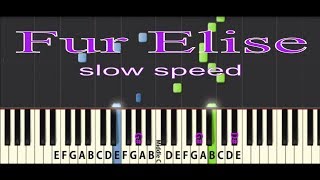 Fur Elise Tutorial Slow speed [upl. by Marlea964]