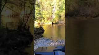 Fall colours while ATVing in North Eastern Ontario fall atv adventures cfmoto ontariooutdoors [upl. by Florance]