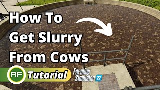 How To Get Slurry From Cows In Farming Simulator 22 [upl. by Lemmie]