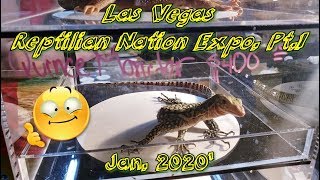 Las Vegas Reptilian Nation Expo Jan 2020 Pt1😁🐍 [upl. by Laius]