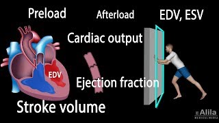 Cardiac Output Stroke volume EDV ESV Ejection Fraction [upl. by Olympia285]