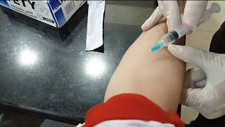 Phlebotomy Standard Procedure [upl. by Gustafson]