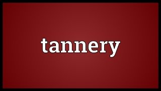 Tannery Meaning [upl. by Ivo]