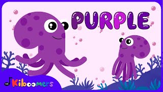 Meet the Color Purple Song  The Kiboomers Colors Songs for Preschoolers [upl. by Aliemaj]