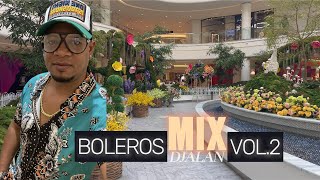 BOLEROS MIX VOL 2 DJALAN [upl. by Raamaj]