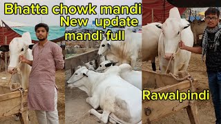 bhatta chowk mandi 2024 New update mandi full rawalpindi Islamabad mandi [upl. by Ariuqahs]