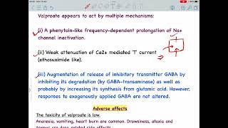 Valproic acid  Sodium valproate Mechanism of action  Anti epileptic drug [upl. by Yttap]