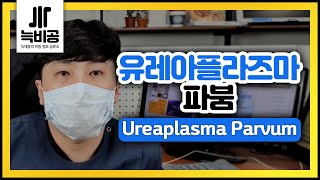 유레아플라즈마파붐ureaplasma parvum은 성병균 [upl. by Kevan]