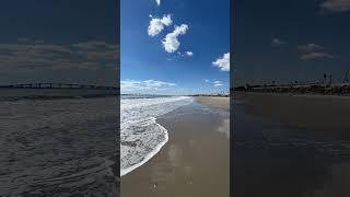 60 Seconds of NJ Zen Longport Dog Beach Egg Harbor Twp NJ asmrshorts njbeaches njparks [upl. by Glimp830]