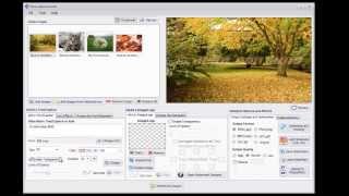 How to Watermark Flickr Photos Easily [upl. by Siramay533]