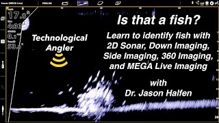 Is that a fish \ How to identify fish with sonar \ The Technological Angler [upl. by Ykcir]