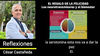 EL REGALO DE LA FELICIDAD LOS NEUROTRANSMISORES Y EL BIENESTAR [upl. by Neerol]