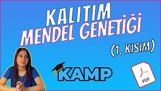 MENDEL GENETİĞİ FULL TEKRAR TYT 2025 [upl. by Anoirtac]