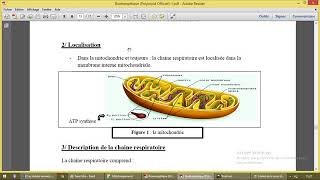 Chaine respiratoire mitochondriale [upl. by Eiliah811]