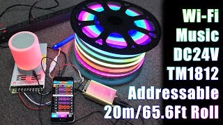 DC24V 656Ft20m Addressable RGB LED Neon Flex Lights Work with VSS WiFi Music Controller [upl. by Kathlin]