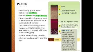 Podzol Soils [upl. by Farron290]