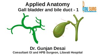 Mastering Gallbladder and Bile Ducts anatomy part 1 [upl. by Soloman]