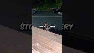 Cat Steals Lottery Scratch Cards and WINS 😂 [upl. by Teodorico]