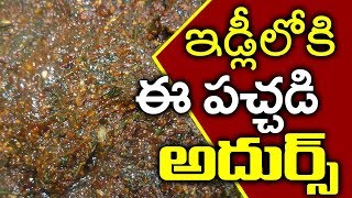 Kottimera Pachhadi l కొత్తిమీర పచ్చడి l Coriander Chutney l Latest Indian Recipes l Villagefood4u [upl. by Hadden]