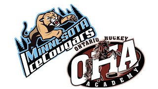 MN Ice Cougars 19U vs Ontario Hockey Academy 19U [upl. by Evita786]