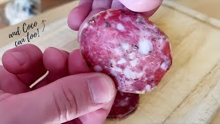 BASIC SALAMI RECIPE Dry Cured in Wine Fridge  Matt The Butcher [upl. by Sclar762]