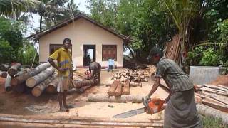 Sri Lankaශ්‍රී ලංකාCeylonLumberSaw MillCoconut Palm WoodCocos Nucifera [upl. by Hadeehsar]