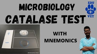 Catalase TestWith Mnemonics [upl. by Vena474]