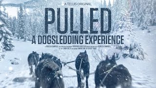 Pulled  A Dog Sledding Experience [upl. by Dabbs]