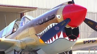 Curtiss P40 Warhawk Engine StartUp flyby amp Engine ShutDown [upl. by Town]