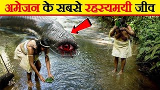 amazon jungle ki 10 sabse khatarnak janwar  amazon jungle ka sabse khatarnak janwar [upl. by Aikenat]