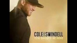 Cole Swindell ft Dierks Bentley flatliner song [upl. by Winson]