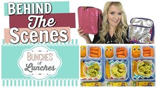 The Story Behind BUNCHES of LUNCHES  Answering YOUR Questions [upl. by Ellehcal]