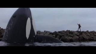 BEST ENDING EVER  FREE WILLY [upl. by Alihs593]