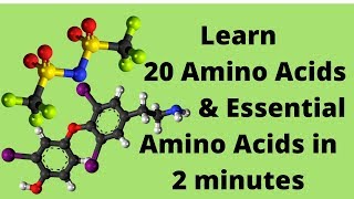 The 20 Amino Acids and Essential Amino Acids Mnemonic [upl. by Barsky]