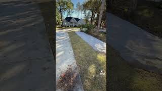 Sod going out today lawncare youtubeshorts landscaping sod [upl. by Nwahsat677]