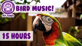 15 hours How To Calm A Parrot New Relaxing Music Has Helped Over 4 Million Pets  Pet Therapy [upl. by Assenad]